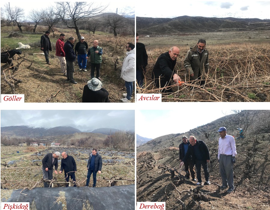 Erzincan İl Tarım ve Orman Müdürlüğü Bitkisel Üretim ve Bitki
