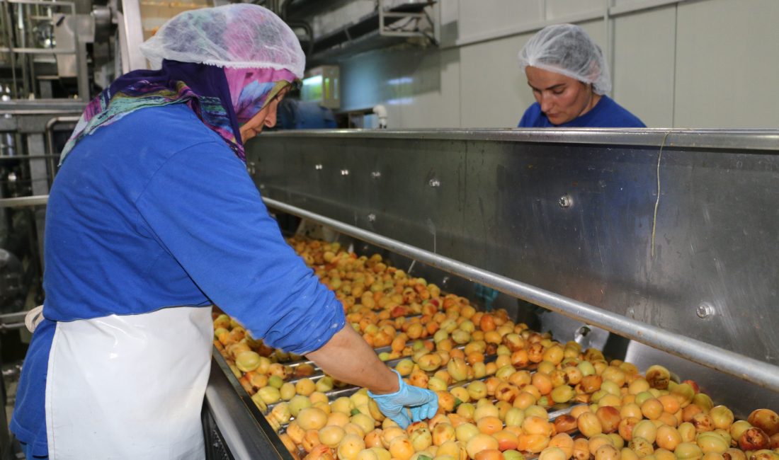 Erzincan’da Şubat ayında genel ticaret sistemine göre ihracat 3 milyon