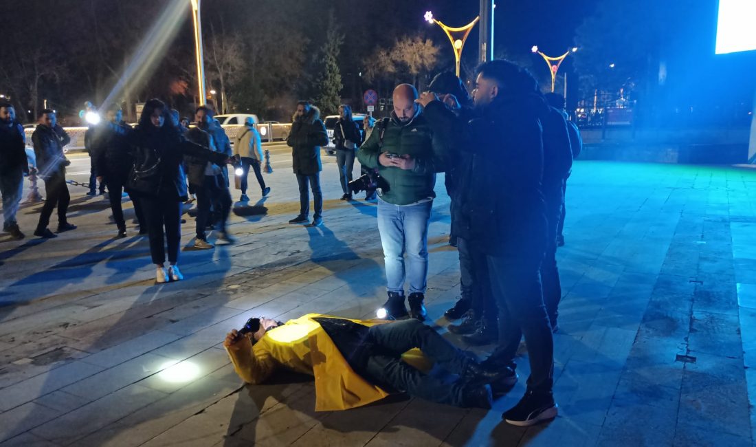 Sanatçı ve Akademisyen, Erzincan Binali Yıldırım Üniversitesi Güzel Sanatlar Fakültesi
