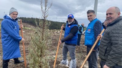 Türkiye Diyanet Vakfı ve Diyanet İşleri Türk İslam Birliği (DİTİB)