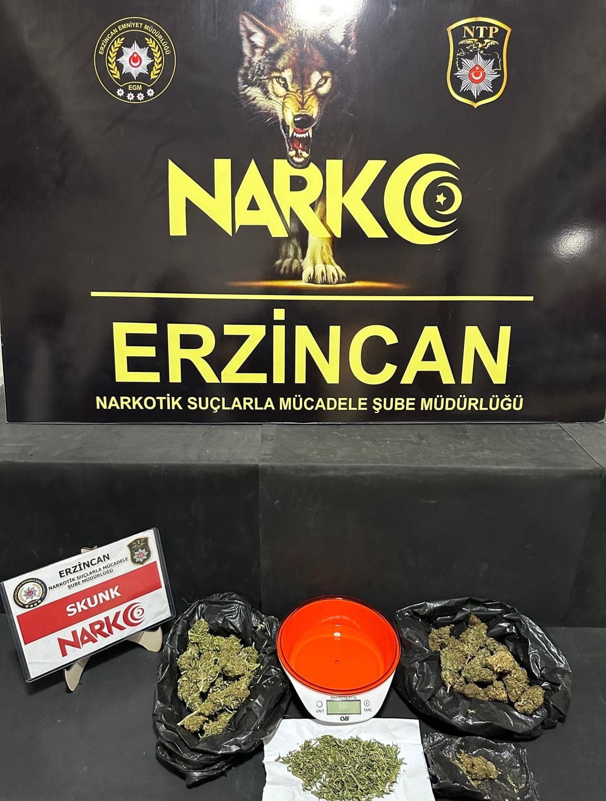 Erzincan’da 169,86 gram skunk maddesi ele geçirildi, 1 şüpheli yakalandı