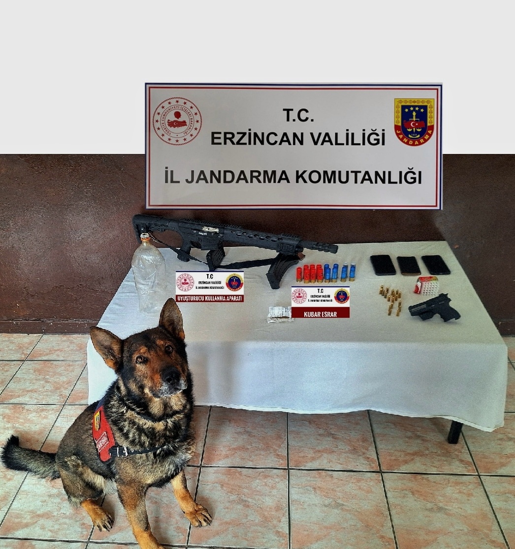 Erzincan İl Jandarma Komutanlığınca, Mart 2024 ayında icra edilen Asayiş,