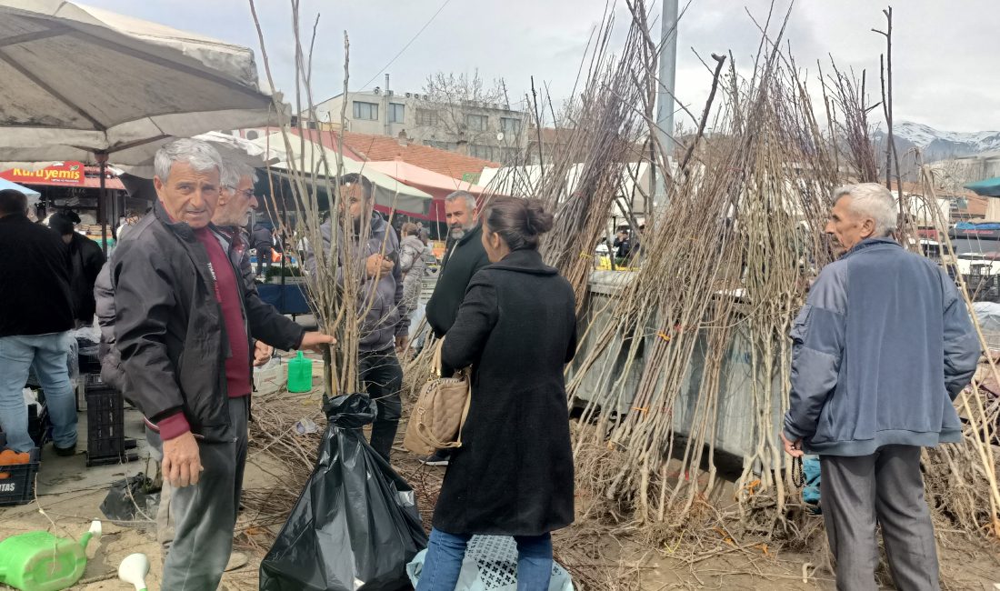 Erzincan’da fidan satışları pazarlarda başladı