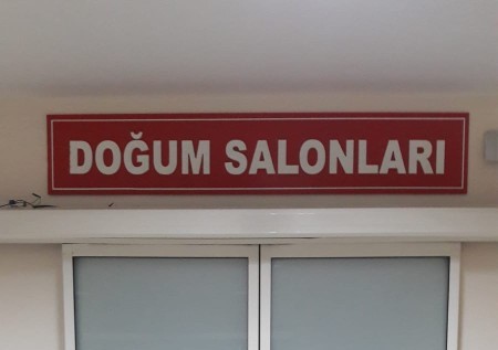 Canlı doğan bebek sayısı 2023 yılında Ülke genelinde 958 bin