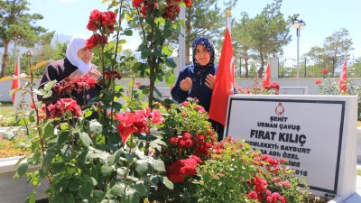 Van’ın Gürpınar İlçesi’nde terör örgütlerine karşı devam eden operasyonlar sırasında