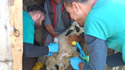 Çayırlı İlçe Tarım ve Orman Müdürlüğü’ne bağlı teknik ekipler, mesai