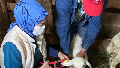 Erzincan’ın Refahiye ilçesine bağlı 121 köy ve bağlı 73 mezrada