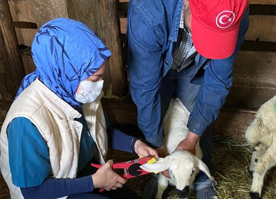 Erzincan’ın Refahiye ilçesine bağlı 121 köy ve bağlı 73 mezrada