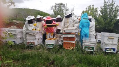 Erzincan’da kadınlar yürütülmekte olan proje sayesinde yeni bir alanda üretime