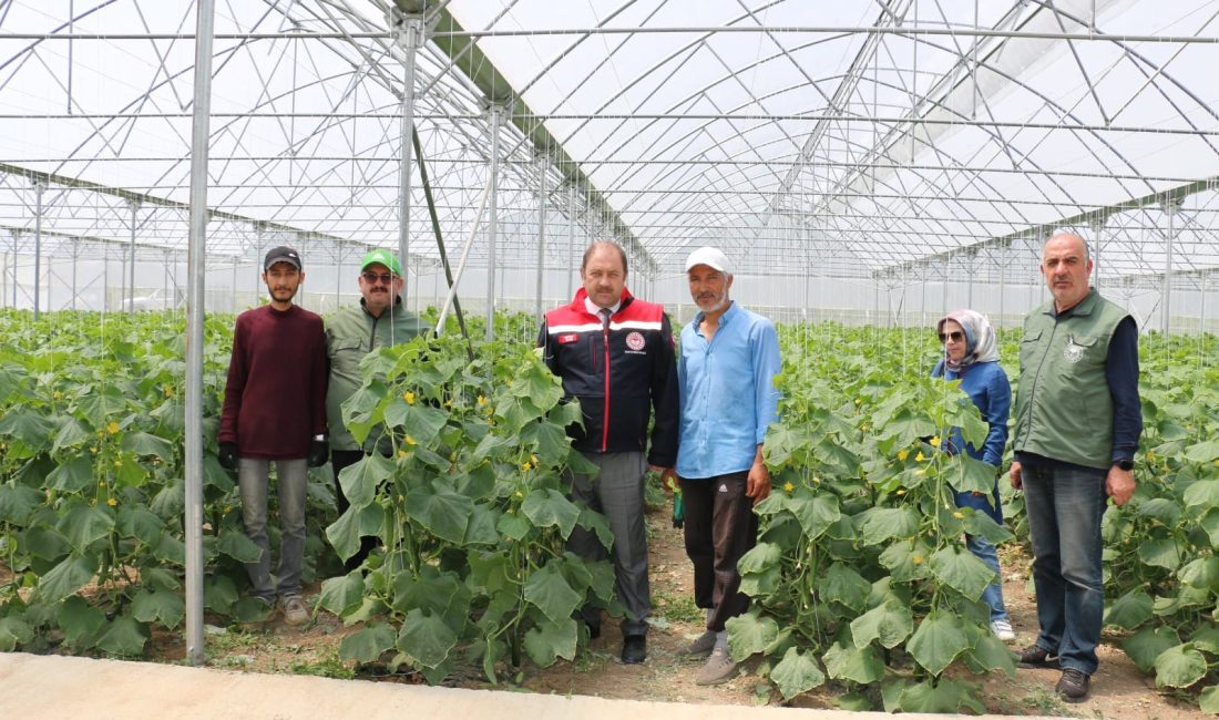 Erzincan Merkeze bağlı Yalınca köyünde seracılık ile uğraşan genç girişimci