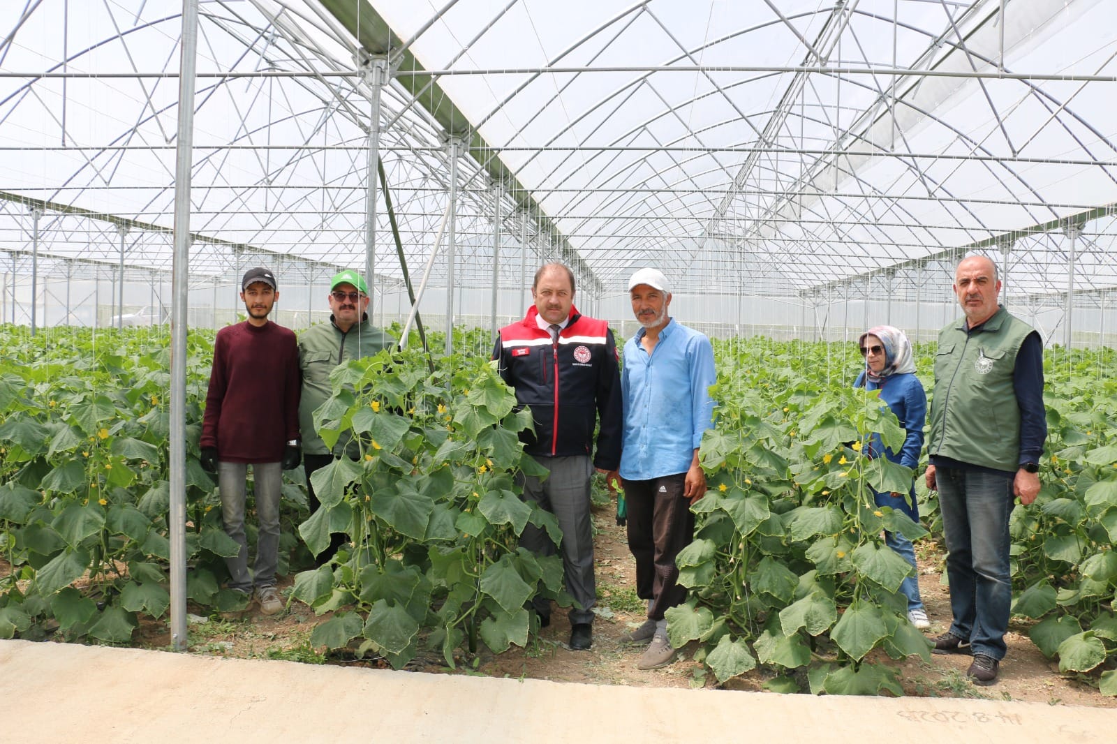 Erzincan Merkeze bağlı Yalınca köyünde seracılık ile uğraşan genç girişimci
