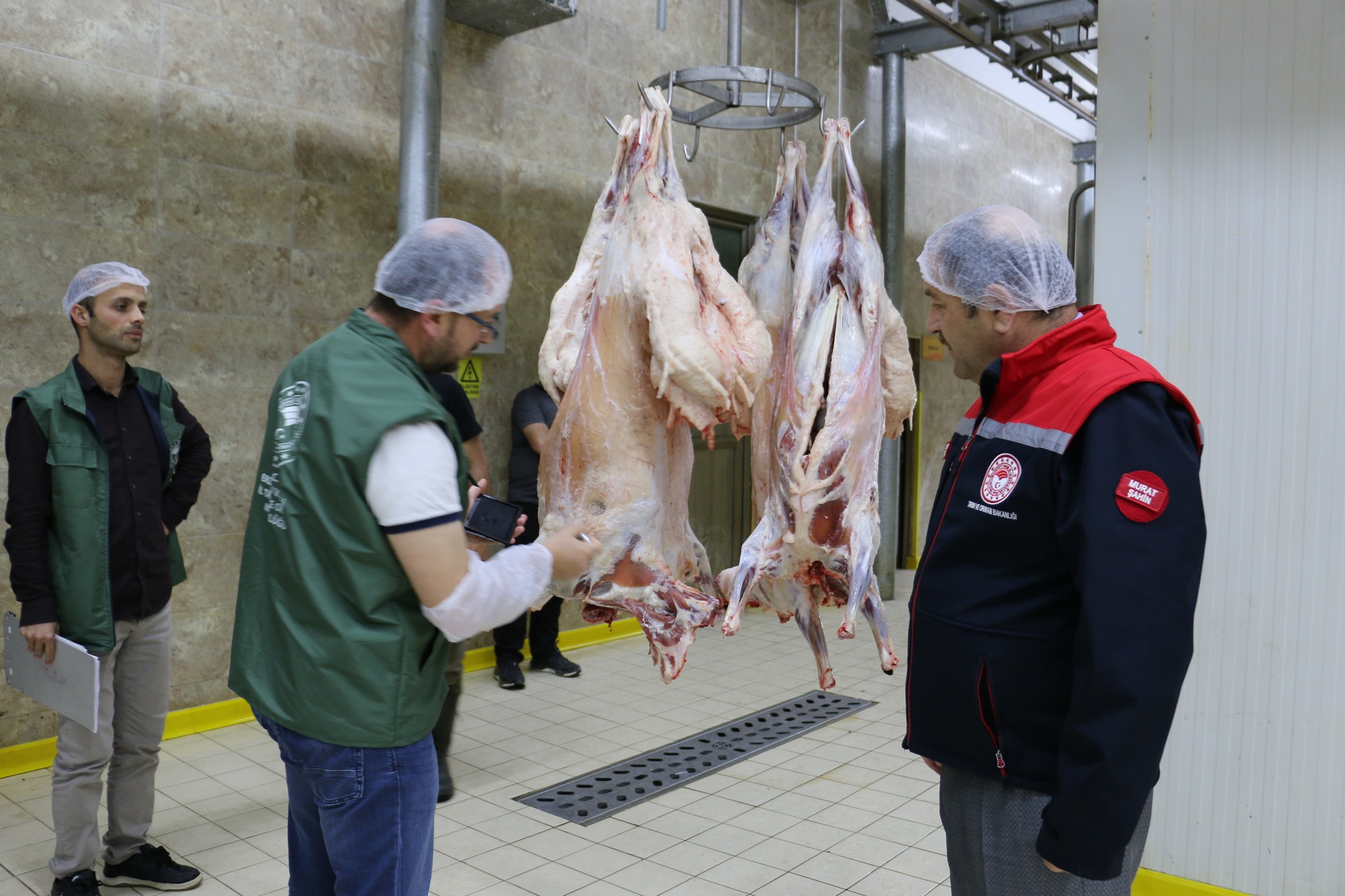 Yaklaşan Kurban Bayramı öncesinde Erzincan Tarım ve Orman İl Müdürlüğü