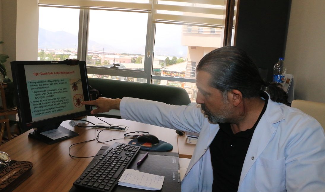 İlkbahar ve yaz mevsimlerinin gelmesi ile birlikte kene vakalarında artış