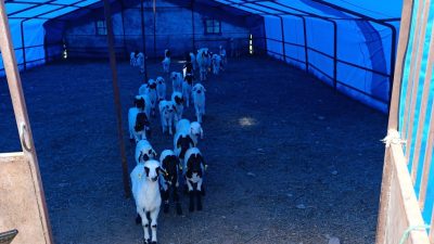 Kemah İlçe Tarım ve Orman Müdürlüğü’ne bağlı teknik ekipler mesai