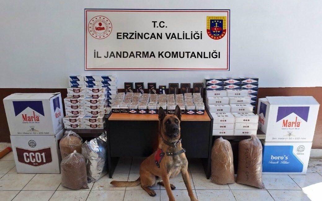 Erzincan İl Jandarma Komutanlığınca, Mayıs 2024 ayında icra edilen Asayiş,