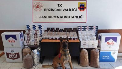 Erzincan İl Jandarma Komutanlığınca, Mayıs 2024 ayında icra edilen Asayiş,