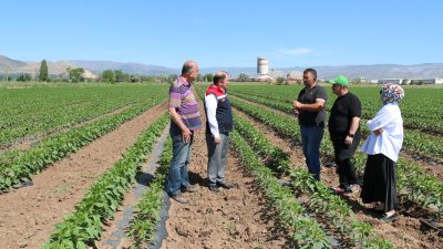 Son yıllarda sebzecilik sektörüne büyük yatırımlar yapan Sinan Bulut, her