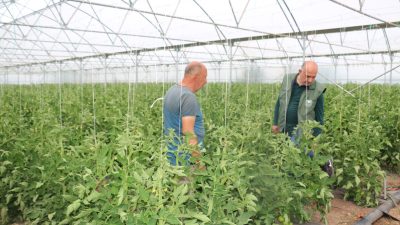 Üretici açısından yılın farklı dönemlerinde farklı ürünler yetiştirebilme; tüketici açısından
