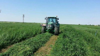 Türkiye’de bitkisel ve hayvansal üretimi artırmak, verim ve kaliteyi yükseltmek,