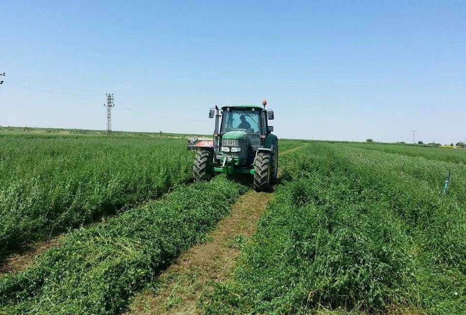 Türkiye’de bitkisel ve hayvansal üretimi artırmak, verim ve kaliteyi yükseltmek,