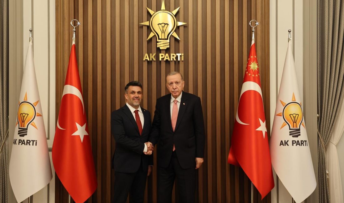 Adalet ve Kalkınma Partisi (AK Parti), Erzincan, Afyonkarahisar, Adıyaman, Gaziantep,