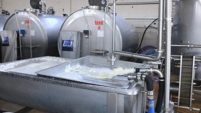 Ticari süt işletmeleri tarafından toplanan inek sütü miktarı, Nisan ayında