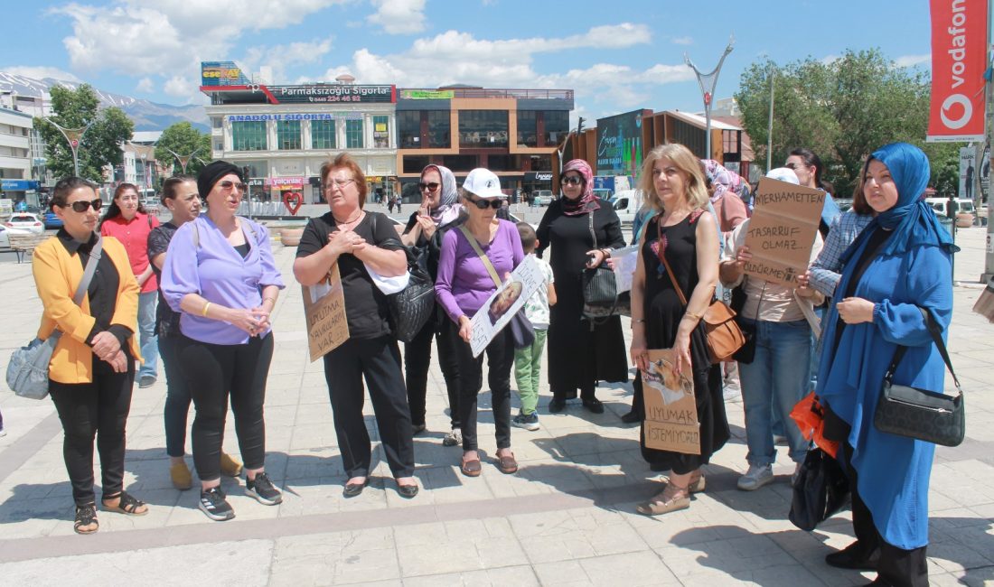 Erzincan Sokak Hayvanlarını Koruma Derneği ERDOHAY gönüllülerince son günlerde meclis