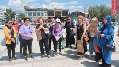 Erzincan Sokak Hayvanlarını Koruma Derneği ERDOHAY gönüllülerince son günlerde meclis