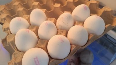 Nisan ayında bir önceki yılın aynı ayına göre, tavuk yumurtası