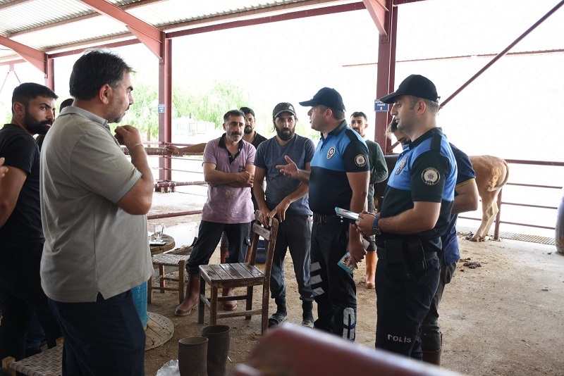 Yaklaşan Kurban Bayramı dolayısıyla Erzincan’da kurulan canlı hayvan pazarında İl