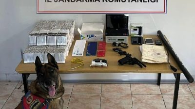 Erzincan İl Jandarma Komutanlığınca, Haziran 2024 ayında icra edilen Asayiş,