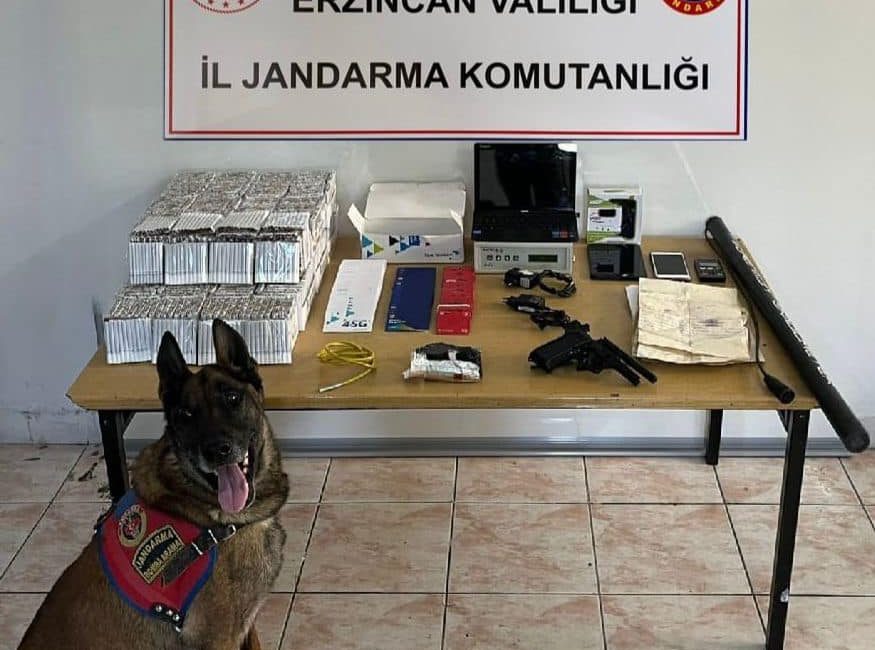 Erzincan İl Jandarma Komutanlığınca, Haziran 2024 ayında icra edilen Asayiş,