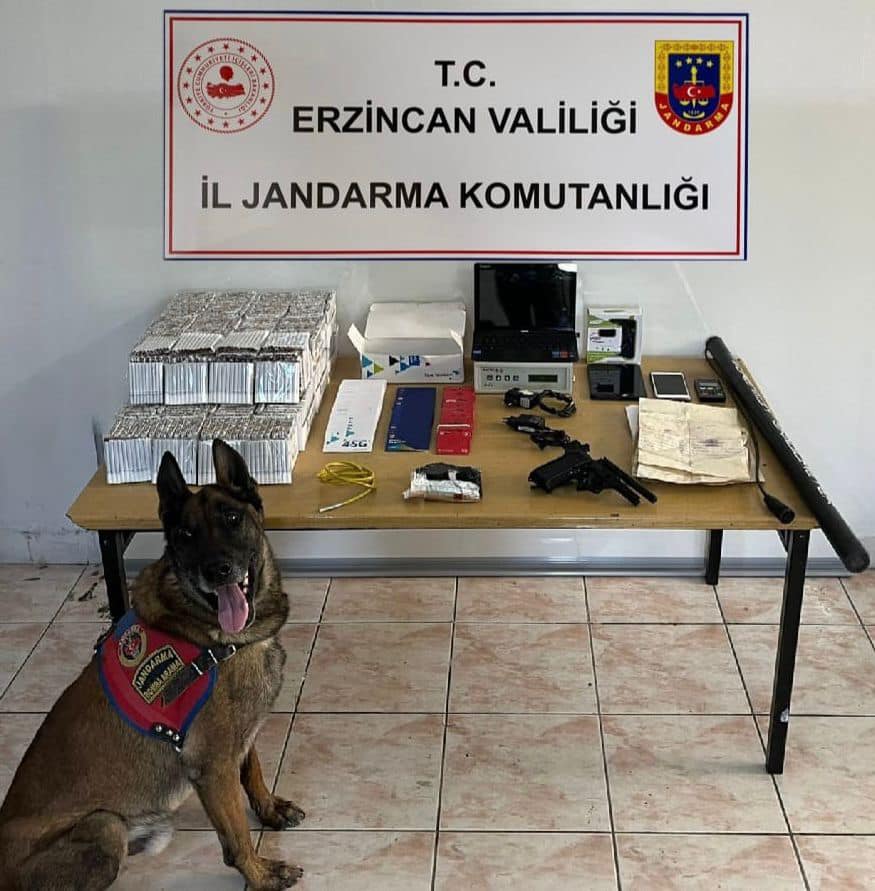 Erzincan İl Jandarma Komutanlığınca, Haziran 2024 ayında icra edilen Asayiş,