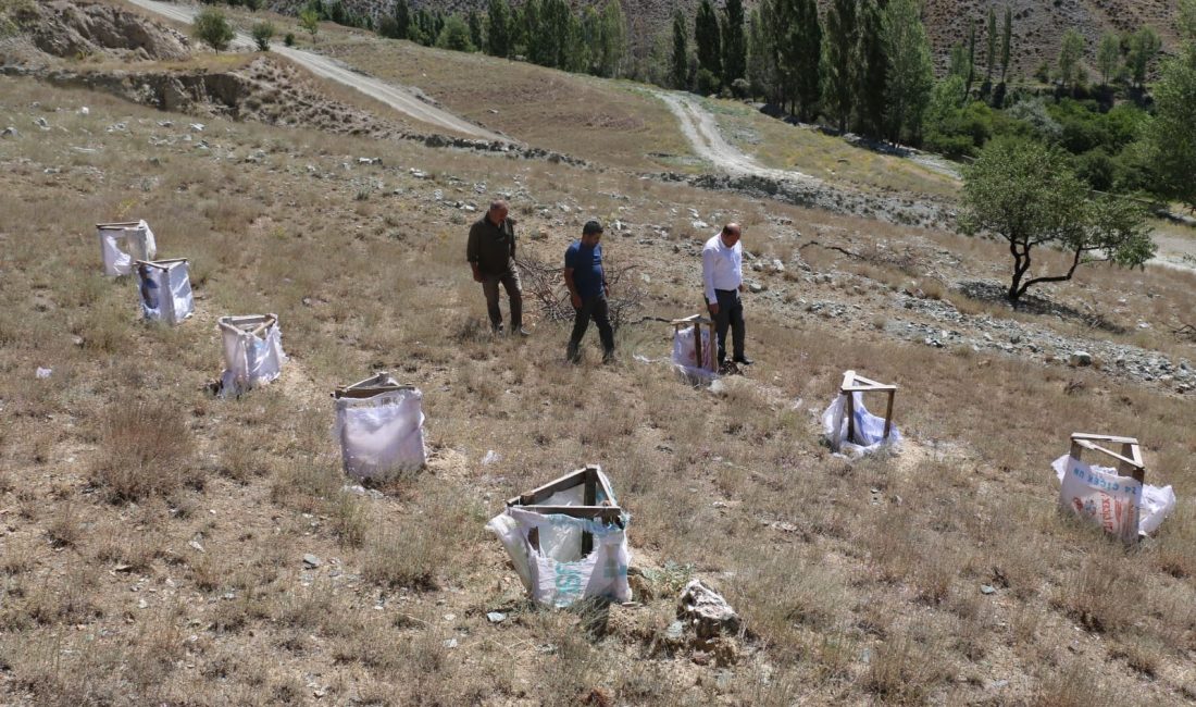 Erzincan’da uygulamaya konulan tuz çalısı demonstrasyonu kontrolleri sürüyor. Demonstrasyon çalışmasının