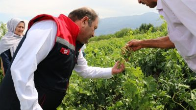 Hafta sonu yaşanan dolu yağışı nedeniyle Erzincan Tarım İl müdürlüğü