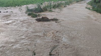 Erzincan’da akşam saatlerinde etkili olan sağanak yağış Çağlayan beldesinde sele