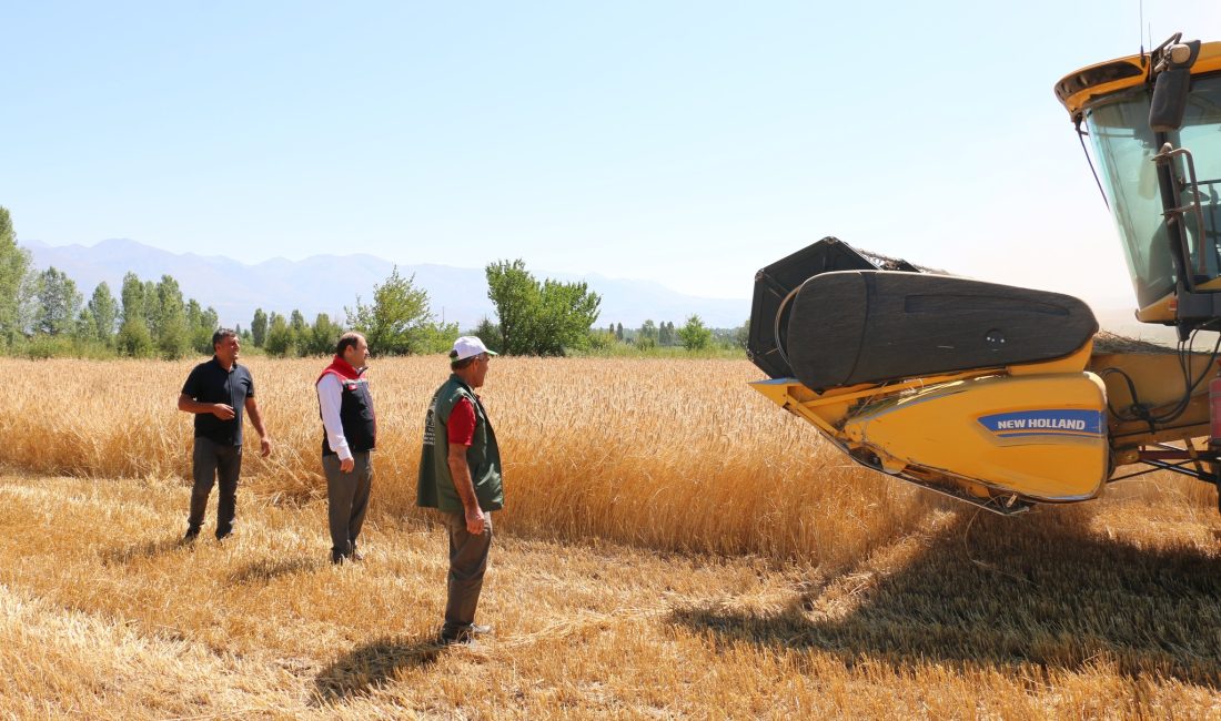 Erzincan Tarım ve Orman İl Müdürlüğü ekipleri devam eden hububat