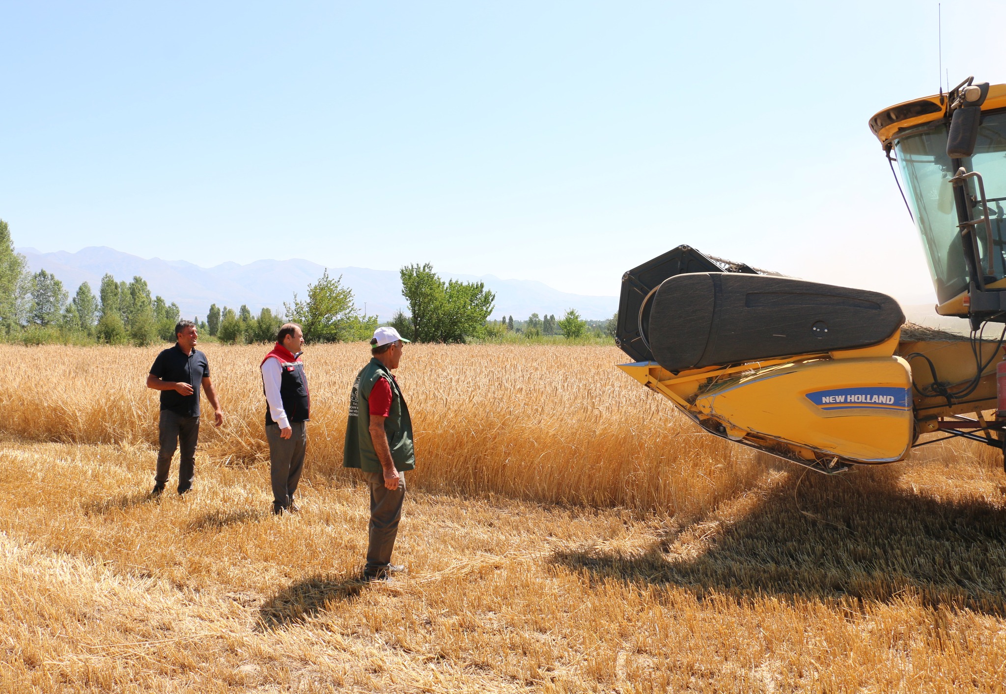 Erzincan Tarım ve Orman İl Müdürlüğü ekipleri devam eden hububat