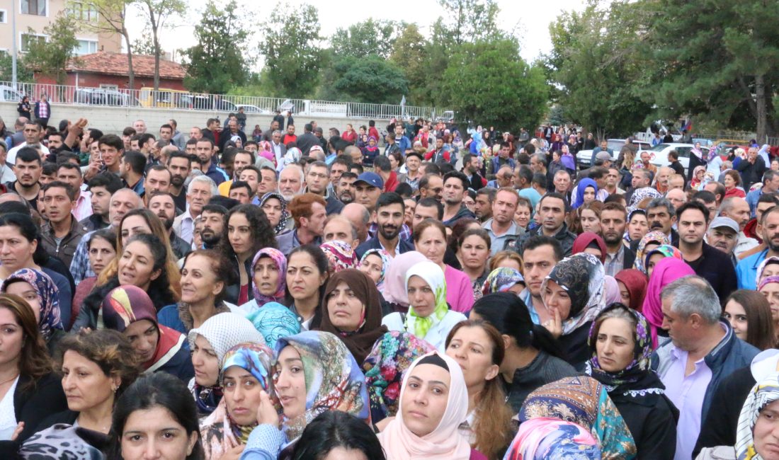 Hanehalkı İşgücü Araştırması sonuçlarına göre; 15 ve daha yukarı yaştaki