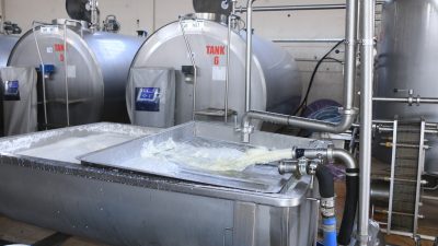 Ticari süt işletmeleri tarafından toplanan inek sütü miktarı, Mayıs ayında