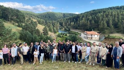 Adli tatil, Hukuk Muhakemeleri Kanunu'nun 102'nci, Ceza Muhakemesi Kanunu'nun 331'nci,