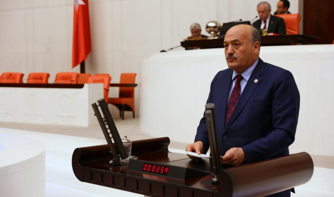 AK Parti Erzincan Milletvekili Süleyman Karaman, 30 Ağustos Zafer Bayramı’nın