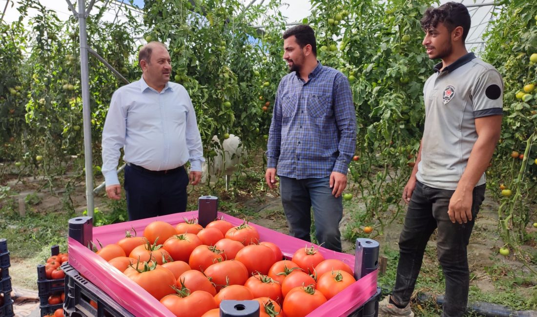 Doğu Anadolu Bölgesi’nde sahip olduğu avantajları iyi değerlendiren Erzincan, bölgenin