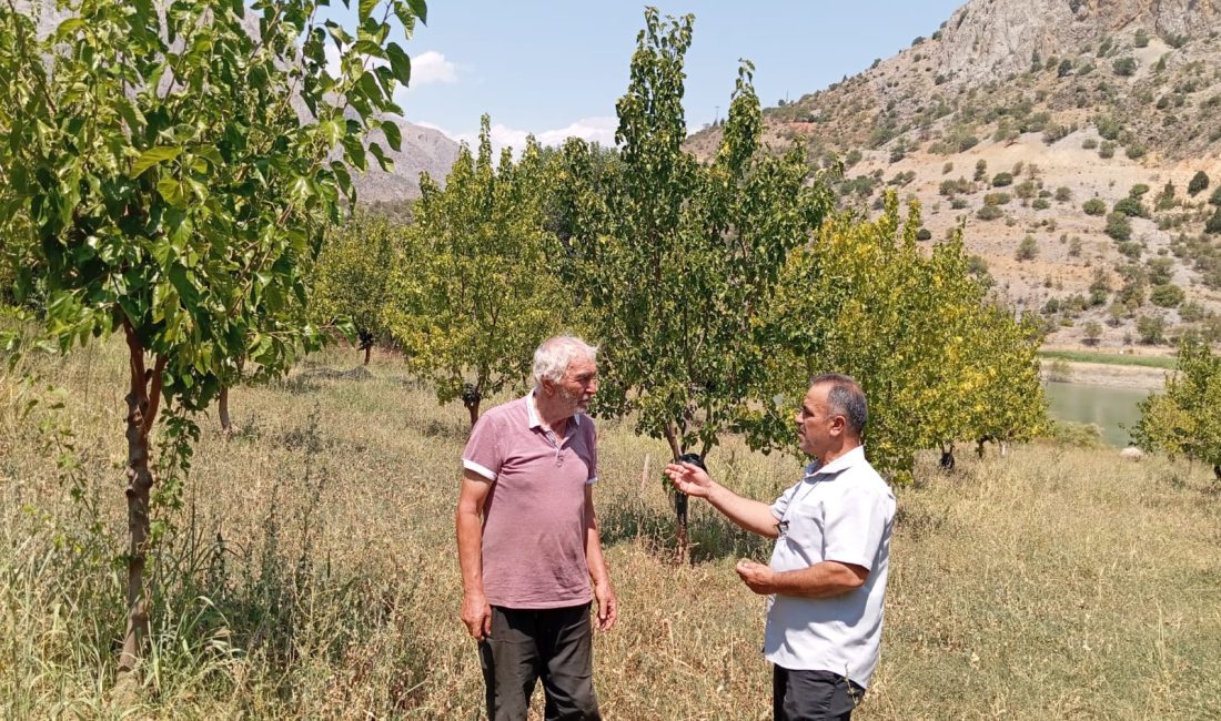 Erzincan’ın Kemaliye ilçesinde yaşayan Öğretmen Mustafa Özer, yaptıklarıyla ayakta alkışlanmayı