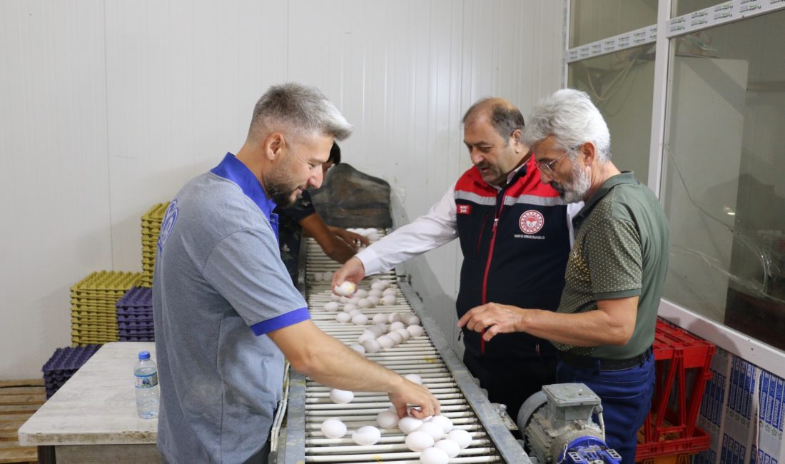 Tarımsal üretim noktasında her geçen gün çıtayı yükselten Erzincan; büyükbaş