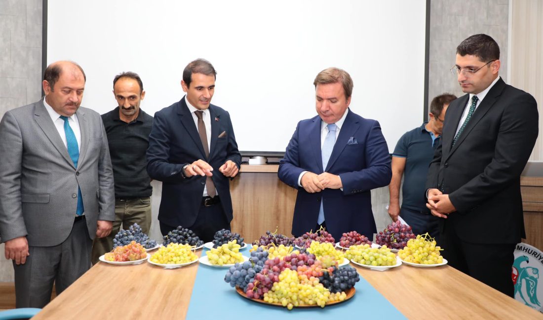 Coğrafi Tescilli Çimin Üzümünün çeşitlerinin de üretiminin arttırılması konusunda Erzincan