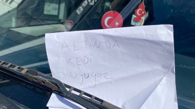 Erzincan’da otomobilin altında uyuyan yavru kediyi fark eden vatandaş, otomobilin