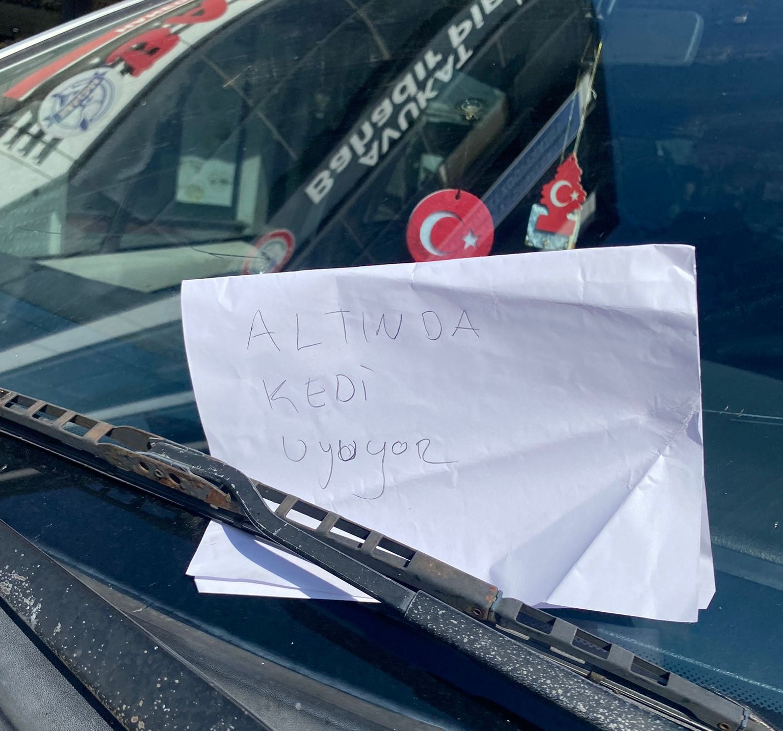 Erzincan’da otomobilin altında uyuyan yavru kediyi fark eden vatandaş, otomobilin