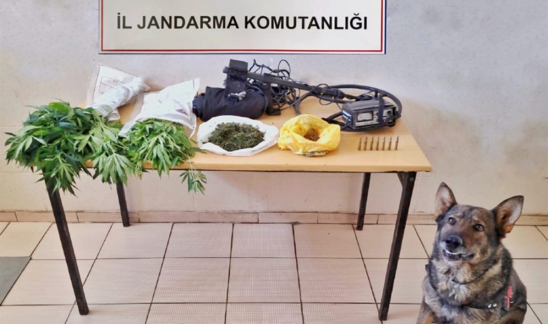 Erzincan İl Jandarma Komutanlığınca, Temmuz 2024 ayında icra edilen Asayiş,