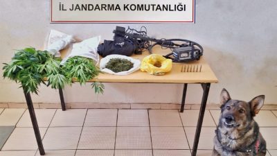 Erzincan İl Jandarma Komutanlığınca, Temmuz 2024 ayında icra edilen Asayiş,